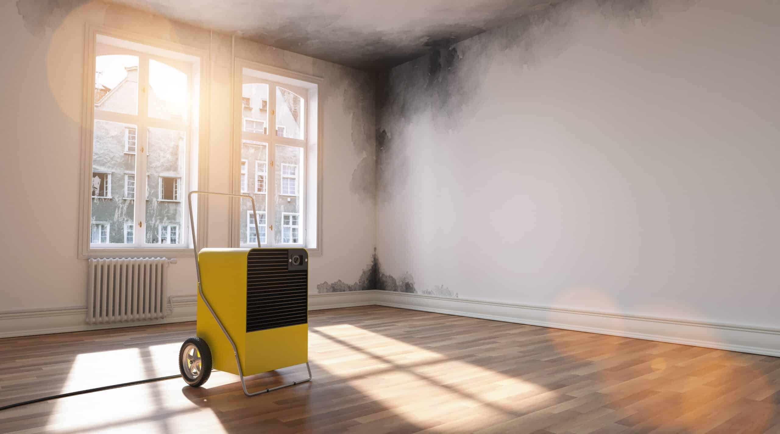Empty room with mould on the wall and a dehumidifier on the floor
